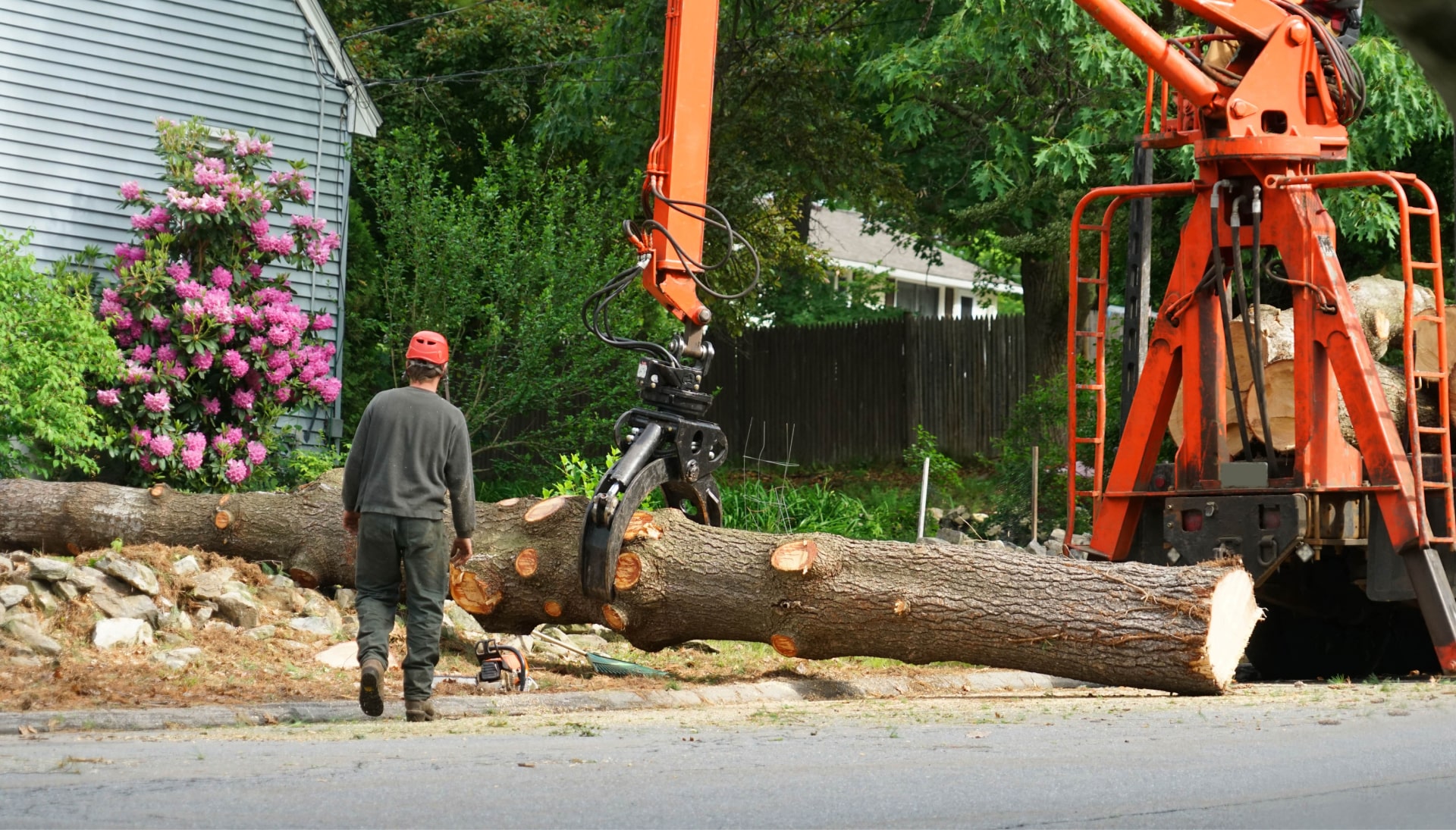 Local partner for Tree removal services in Henderson