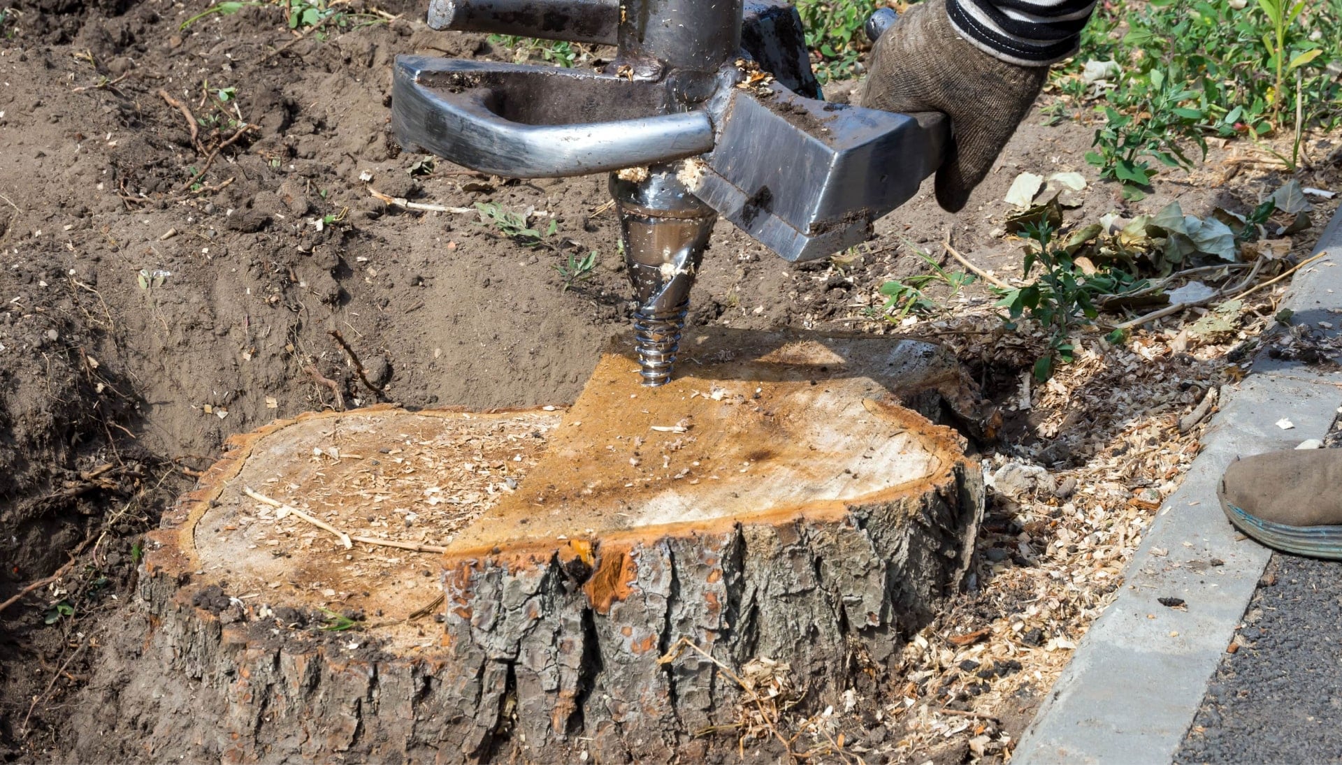 Henderson Tree stump removal